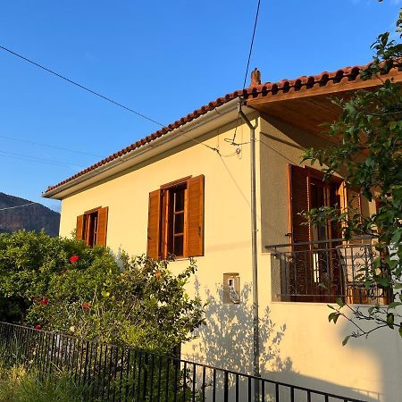 Lemon Tree House Villa Leonídio Kültér fotó